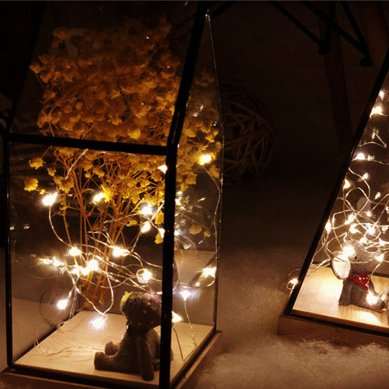 1 meter Fairy LED Lights with switch mode