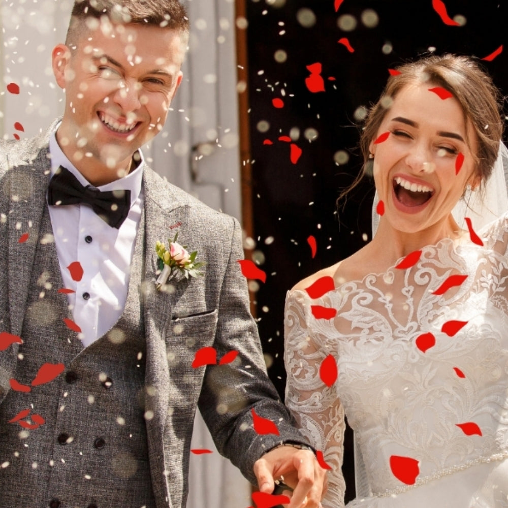 Artificial Rose Petal Dried Flower Proposal Petal ROM Wedding Balloon Solemnization Fake Flower Party Décor