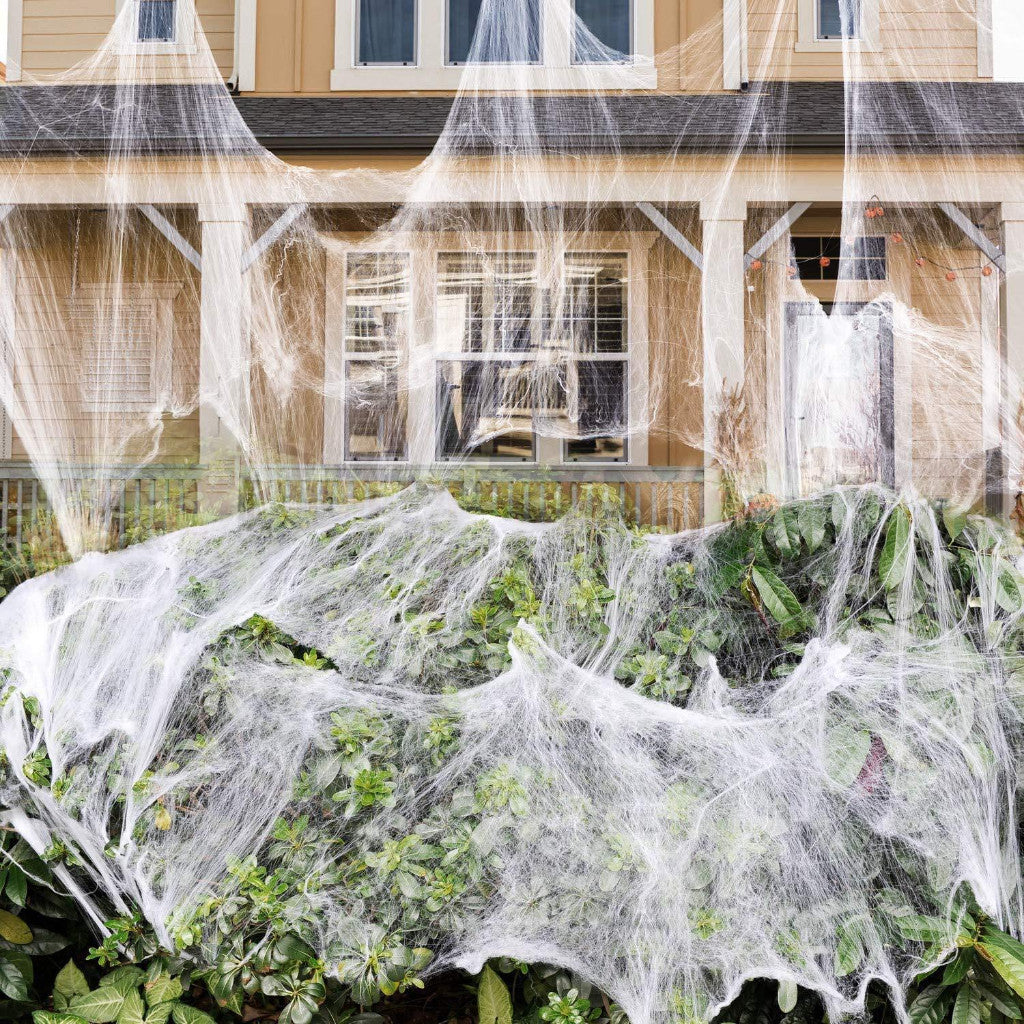 Halloween Spider Webs & Props
