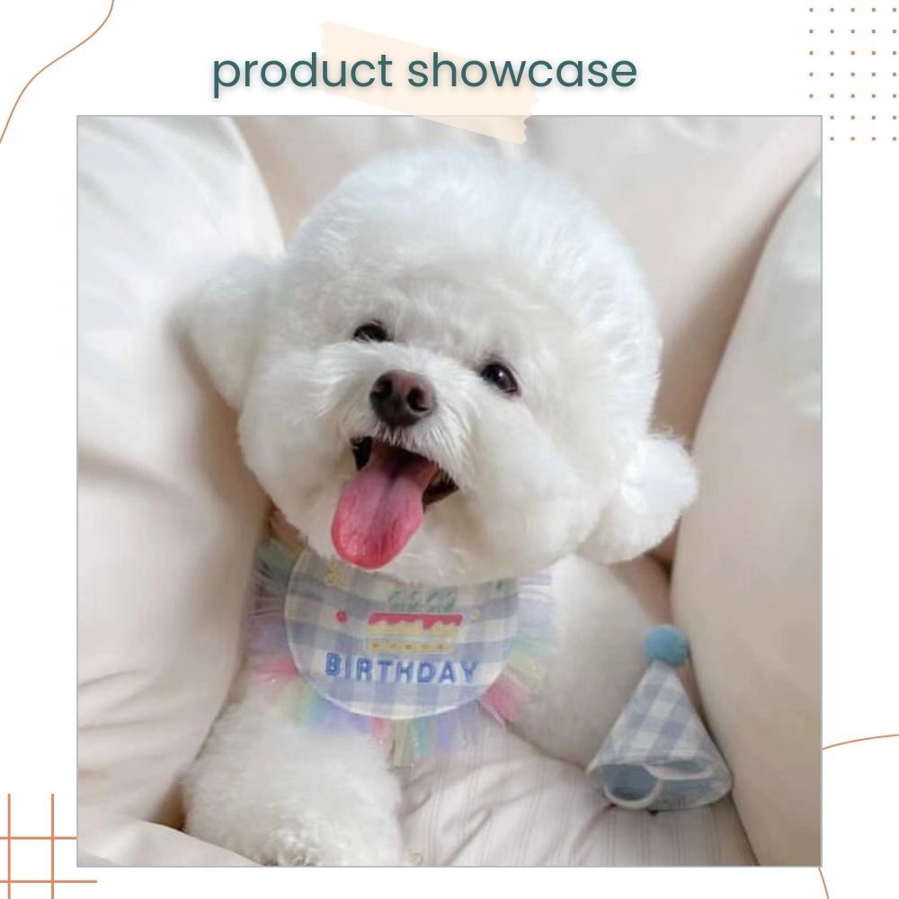 Korea Style Pets Dog Cat Colorful Birthday Scarft Hat Set for Pet's Birthday Costume