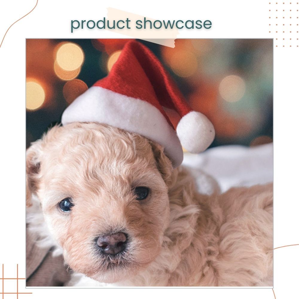 Christmas Hat Xmas Santa Hat for Unisex Adults Child Pets for Christmas Party Accessories New Year Festival