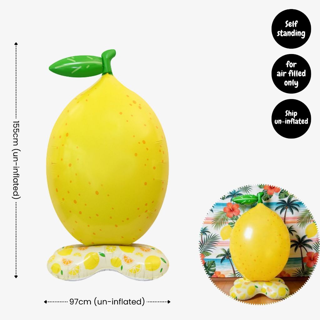 Personalised Fruits and Vegetable Theme Birthday Balloon Party Balloon Banner Decoration