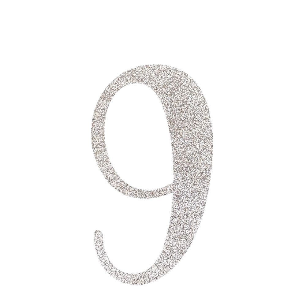 Custom Cursive Glitter Silver Script Font Banner