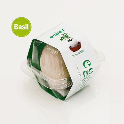 Mini Egg plant for children's day teacher's day birthday Xmas Gift