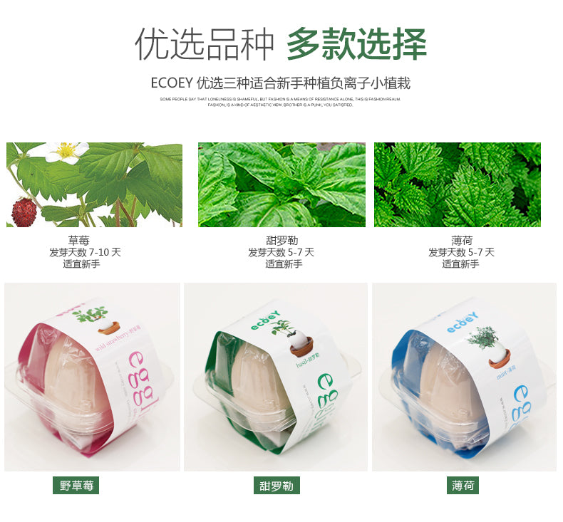 Mini Egg plant for children's day teacher's day birthday Xmas Gift