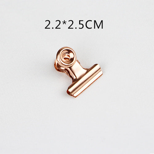 Metal Grid Photo Wall Wire Mesh Board Grill - Rose Gold