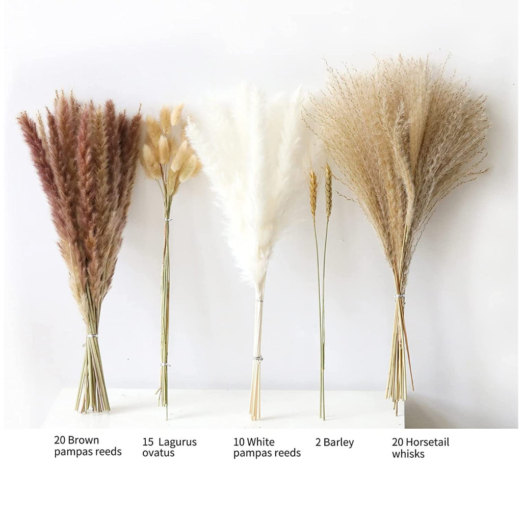 Mini Dried Pampas Bunny Tails Palm Leaf Flower Reed Bouquet