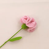 Knitted Woven Carnation Handmade Flower