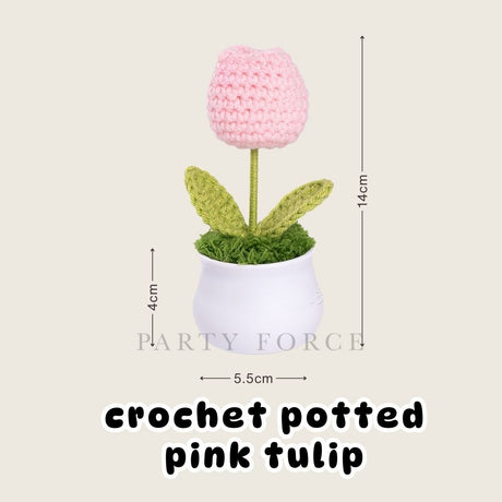 [SG Instock] Teacher's Day Gift Crochet Sunflower White Pot Teachers Day Card Ribbon PVC Bag