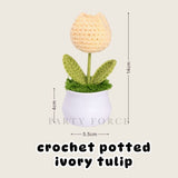[SG Instock] Teacher's Day Gift Crochet Sunflower White Pot Teachers Day Card Ribbon PVC Bag