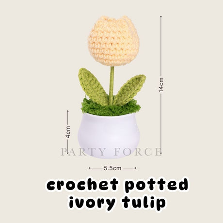 [SG Instock] Teacher's Day Gift Crochet Sunflower White Pot Teachers Day Card Ribbon PVC Bag