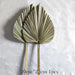 Mini Dried Pampas Bunny Tails Palm Leaf Flower Reed Bouquet