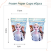 Disposable Frozen Elsa Anna Theme Tableware