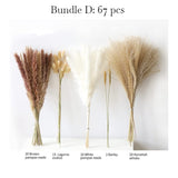 Mini Dried Pampas Bunny Tails Palm Leaf Flower Reed Bouquet