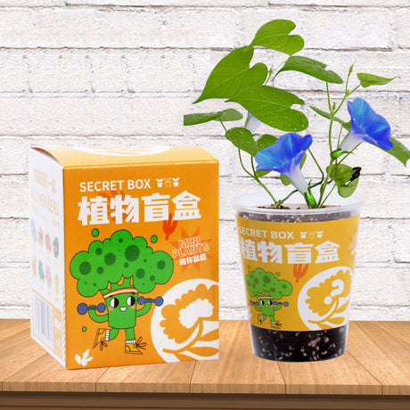 DIY Plants Blind Random Box Kit