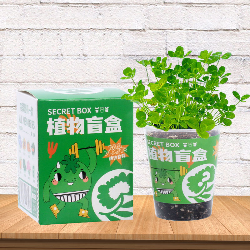 DIY Plants Blind Random Box Kit – Party Force