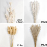 Mini Dried Pampas Bunny Tails Palm Leaf Flower Reed Bouquet