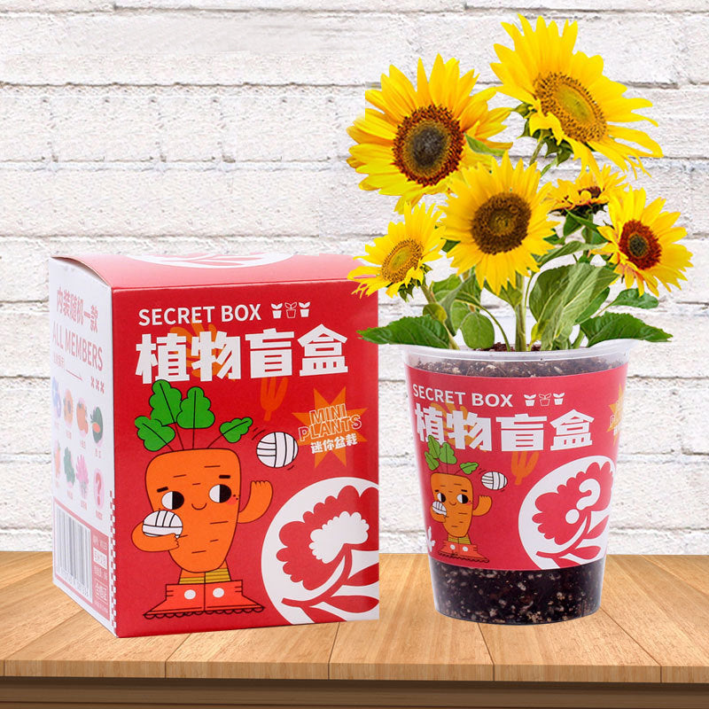 DIY Plants Blind Random Box Kit – Party Force