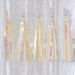 Iridescent Color Tassel