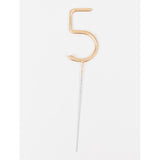 [SG Seller] - Birthday 100days number wooden cake topper