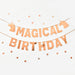 Everything Unicorn theme birthday decoration balloon banner tableware