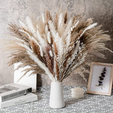 Minimalist Ceramic Vase for dried Pampas Grass