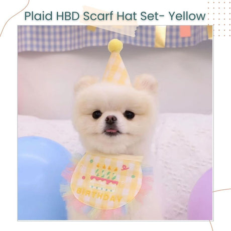 Korea Style Pets Dog Cat Colorful Birthday Scarft Hat Set for Pet's Birthday Costume