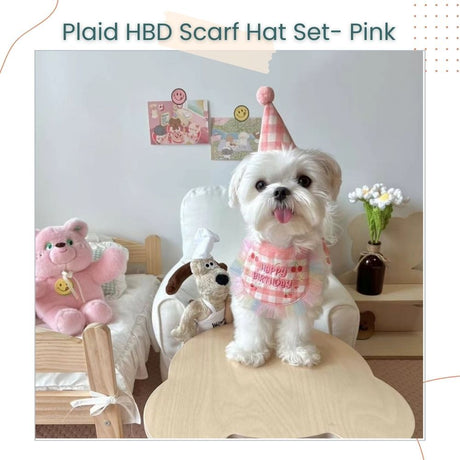 Korea Style Pets Dog Cat Colorful Birthday Scarft Hat Set for Pet's Birthday Costume
