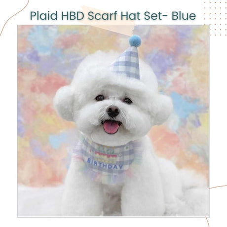 Korea Style Pets Dog Cat Colorful Birthday Scarft Hat Set for Pet's Birthday Costume