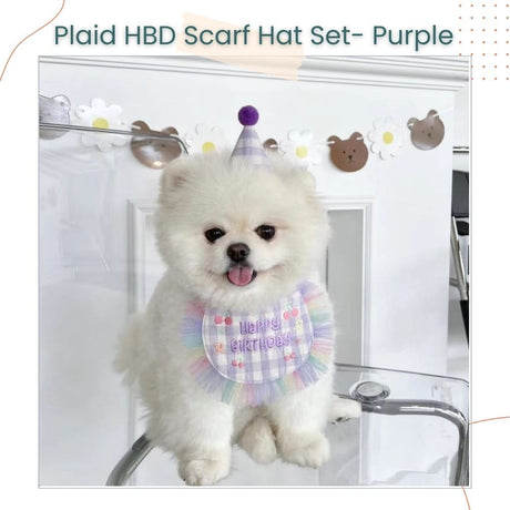 Korea Style Pets Dog Cat Colorful Birthday Scarft Hat Set for Pet's Birthday Costume