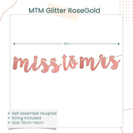 Bride to be Sash Tiara Veil Robe Bridal Shower Balloon Hen Party Bachelorette Party