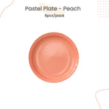 Disposable Paper Plate pastel Ice Cream Pastel Rainbow for Birthday Party
