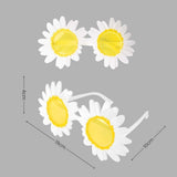 Daisy Theme Banner Balloon Party Decoration for Birthday Party