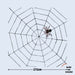 [SG Seller] Halloween Decoration Honeycomb party fan spider web for Halloween Party Decoration