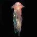 [SG Seller] All Mid autumn festival Lantern decoration banner garland wall decor backdrop photo prop lantern