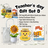 Teacher's Day Gift Sunflower Pot Appreciation Gift Thank You Teachers Day Card