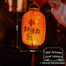 Mid autumn Koi Fish DIY lantern Led light lantern