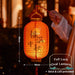 Mid autumn Koi Fish DIY lantern Led light lantern