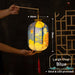 Mid autumn Koi Fish DIY lantern Led light lantern