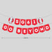 SG61 Decoration Singapore National day Go Beyond Decoration Banner Cheering Balloon Cake Topper