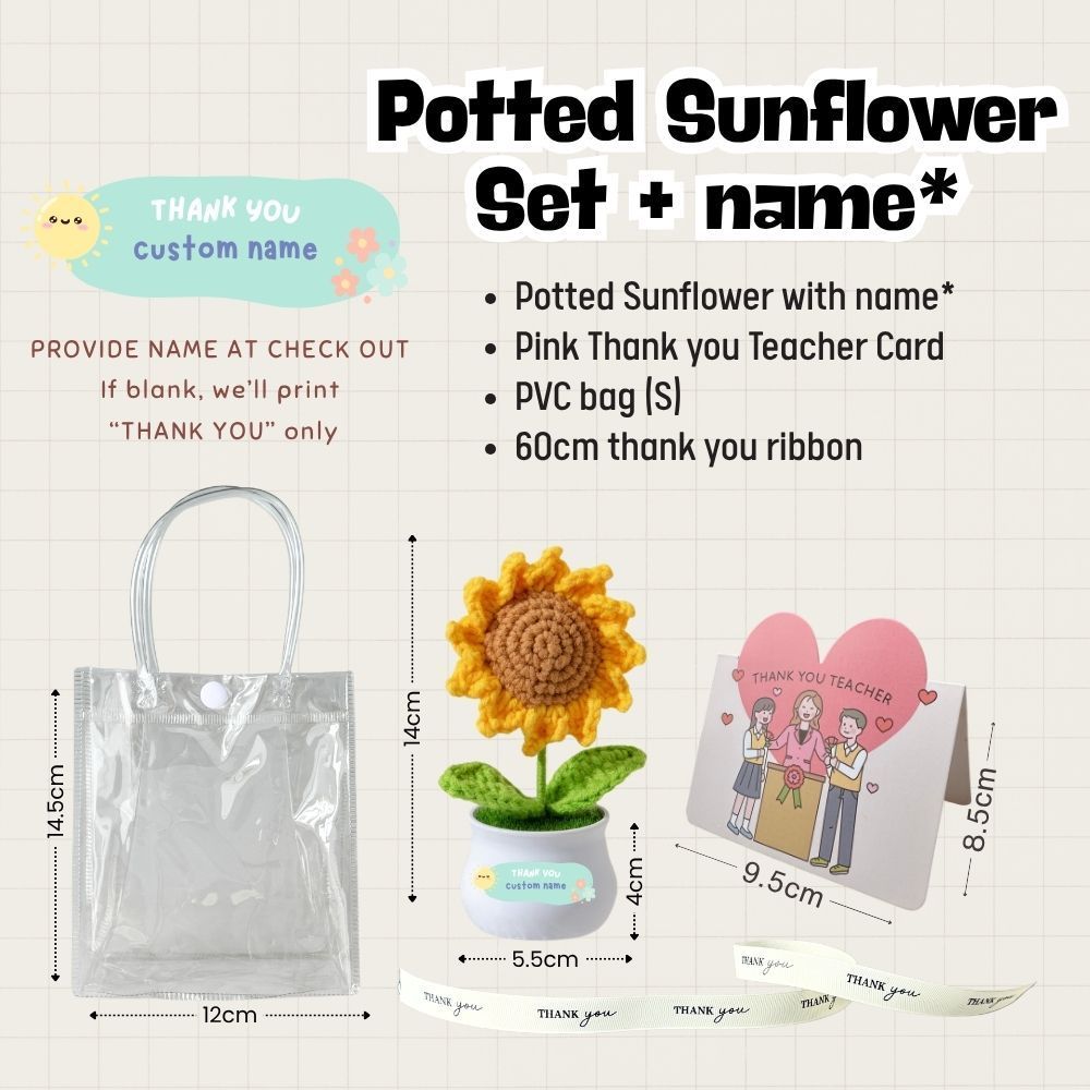 Teacher's Day Gift Sunflower Pot Appreciation Gift Thank You Teachers Day Card