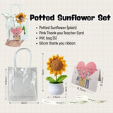 Teacher's Day Gift Sunflower Pot Appreciation Gift Thank You Teachers Day Card