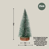 Mini Christmas Tree Cedar Desktop Small Christmas Tree Gifts Window Display Office Home Decoration