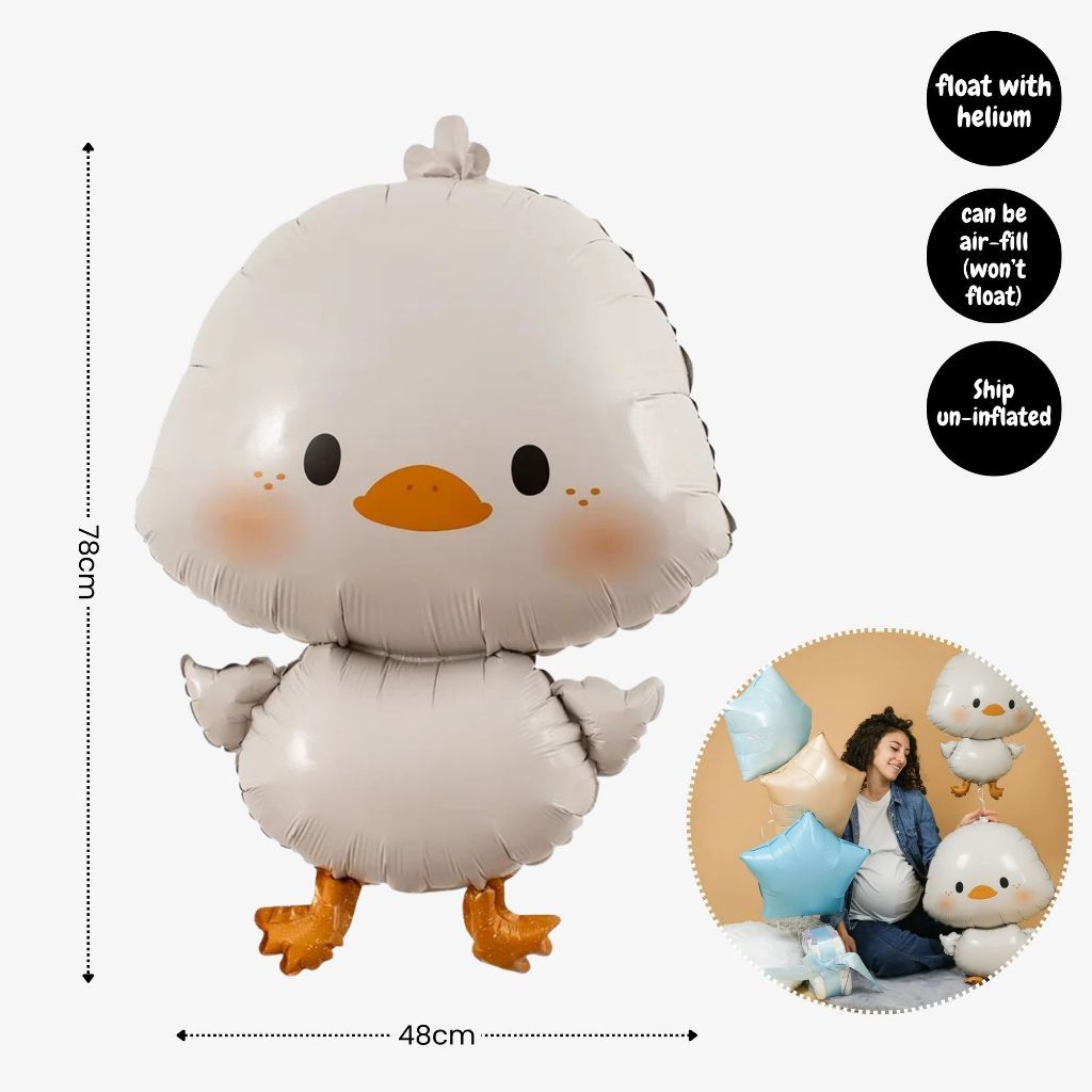 [SG Instock] - Personalised Farm Animal Theme Birthday Party Decoration