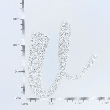 Custom Cursive Glitter Silver Script Font Banner