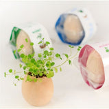 Mini Egg plant for children's day teacher's day birthday Xmas Gift