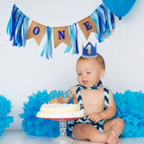 Premium Banner for baby ONE year old celebration