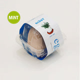 Mini Egg plant for children's day teacher's day birthday Xmas Gift