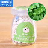 Mini Glass Jar plant