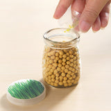 Mini Glass Jar plant